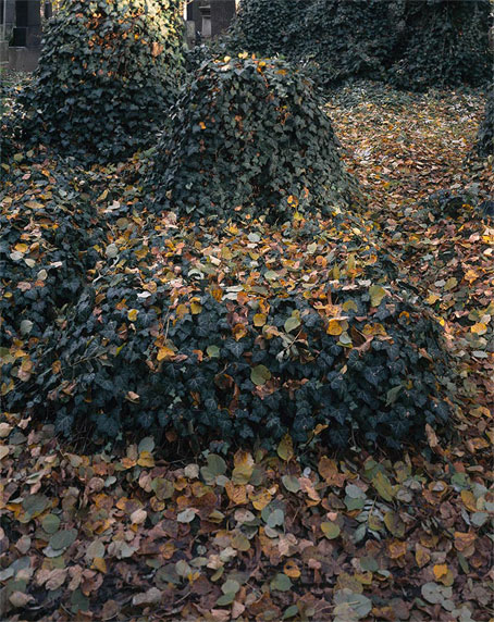 tombe prague