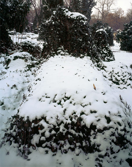 tombe prague