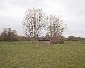 Chevigney-sur-l'Ognon