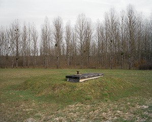 Les magny